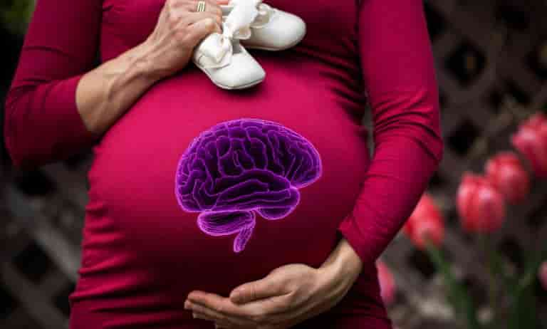 Cambios en el cerebro durante el embarazo