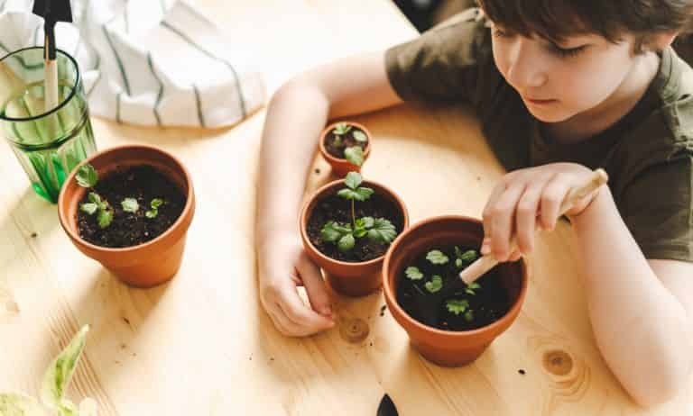 niño plantando en macetas